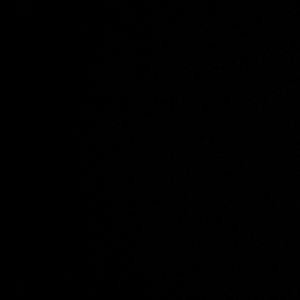 Meet your Posher, Mariam